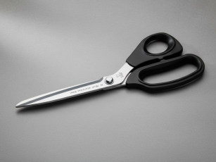 Due Cigni Forbici da...