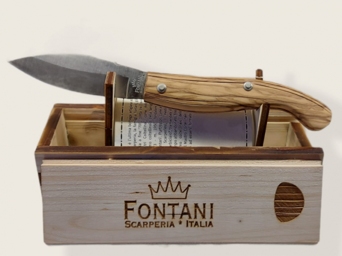 Cofanetto Regalo ZHUORUE Con Coperchio Magnetico E Nastro Dorato, 20x18x8 Cm, Colore Foglia Di Tè - 4